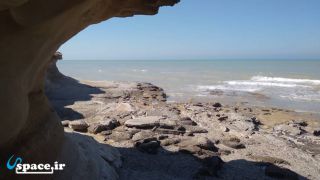 ساحل بندر امام حسن - حد فاصل بندر دیلم و بندر گناوه - بوشهر